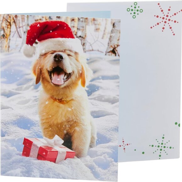 NWT Avanti Press Christmas Santa Pack of 20 Christmas Cards & Holiday Envelopes - Picture 1 of 5